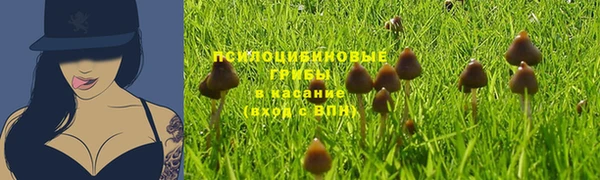 синтетический гашиш Абинск