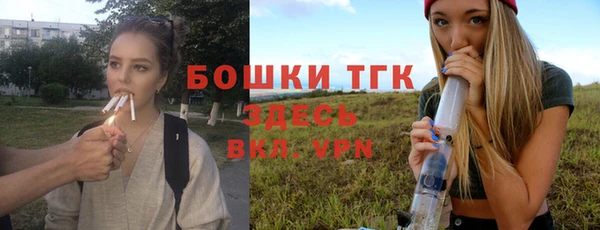 соль ск Снежинск