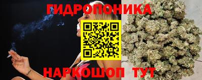 кокс Камышлов