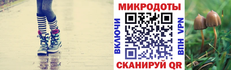 Галлюциногенные грибы GOLDEN TEACHER  KRAKEN зеркало  Майский  цена  