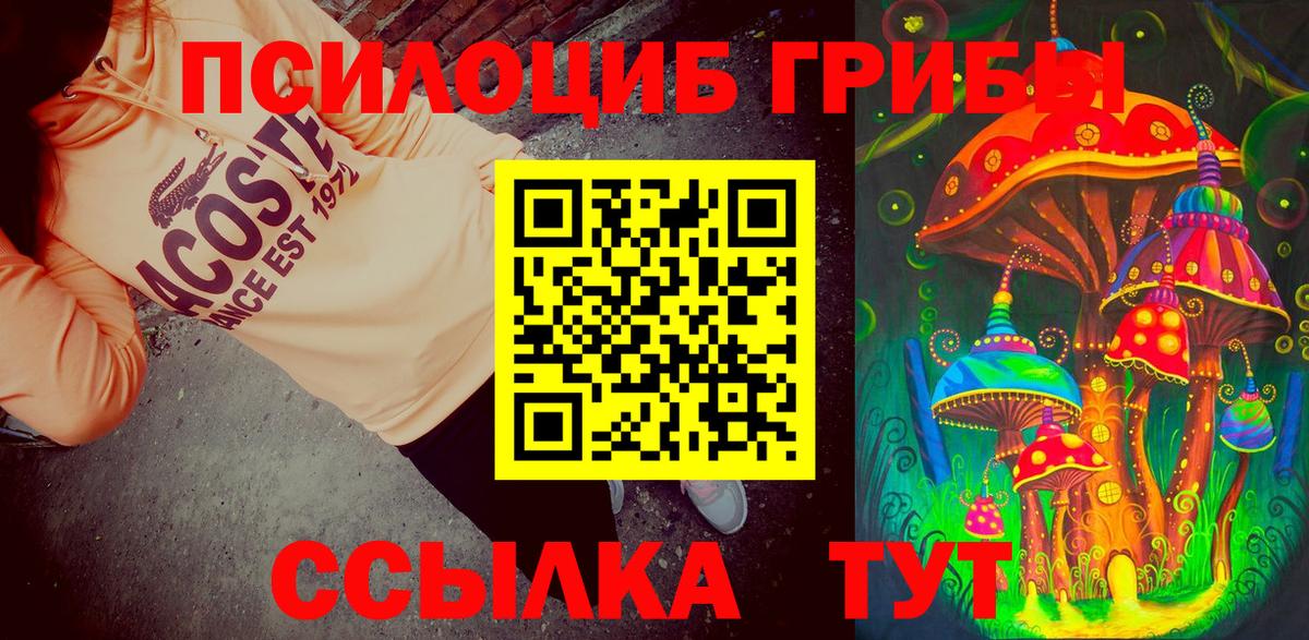 Галлюциногенные грибы Cubensis Майский