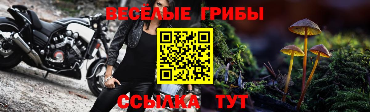 Майский  Псилоцибиновые грибы MAGIC MUSHROOMS  Вход с VPN  Галлюциногенные грибы GOLDEN TEACHER 